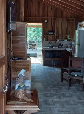 a kitchen with a bird figurine on a table at Cabaña Tiquisia in San Lorenzo