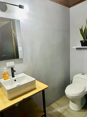 a bathroom with a white sink and a toilet at Casa Money in Turrialba