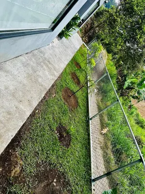 a garden with grass and a fence next to a house at Casa Money in Turrialba