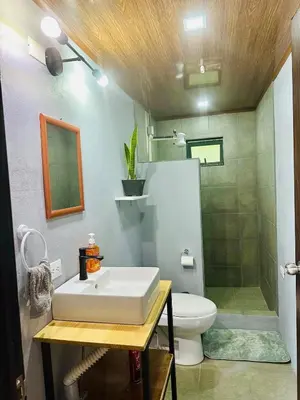 a bathroom with a sink and a shower and a toilet at Casa Money in Turrialba