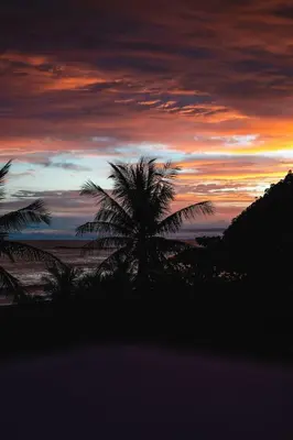 a sunset with a palm tree in the foreground at JACO HEAVEN Beachfront Penthouse in Jacó