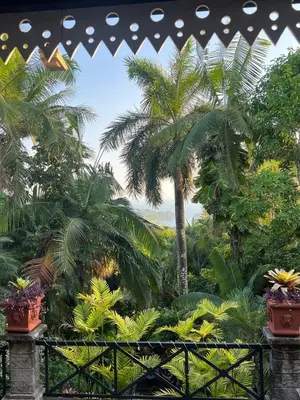 a view of a tropical garden with palm trees at JACO HEAVEN Beachfront Penthouse in Jacó