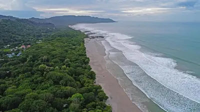 an aerial view of a beach with trees and the ocean at Bamboo Bungalow in Santa Teresa Beach
