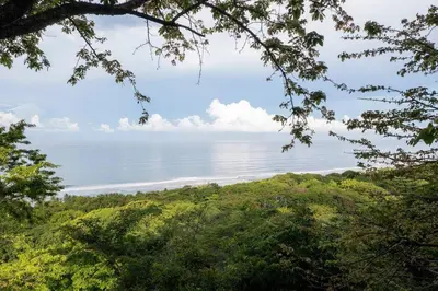 a view of the ocean through the trees at Casa AtrapasueñosEpic View Surfer's Paradise in Santa Teresa Beach
