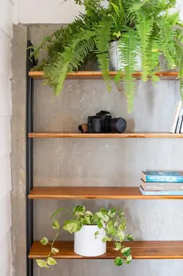 a shelf with a camera and plants on it at Casa AtrapasueñosEpic View Surfer's Paradise in Santa Teresa Beach