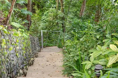a path through a garden with a stone wall at Nido del Mar - Art-Filled Beach house in Santa Teresa