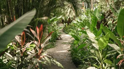 a path through a lush green forest with plants at Surf Casitas - High Tide Bungalow in Santa Teresa Beach