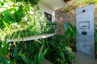 a garden with a bench and some plants at Casa Colibri - Stunning ocean view in Santa Teresa Beach
