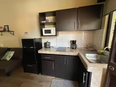 a kitchen with a black refrigerator and a microwave at SJO airport eco-Escape, Villa jr 2 & Pool in Tivives