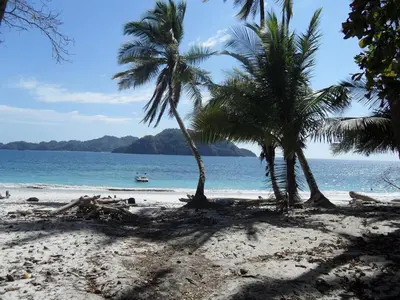 two palm trees on a beach with the ocean at Villa Paradise Garden in Cabuya