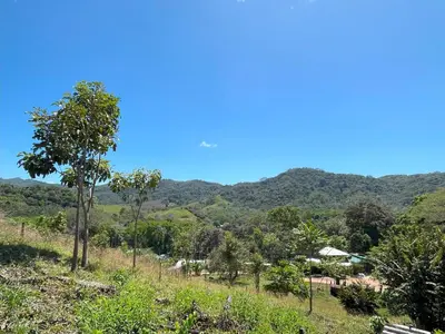 a hillside with trees and mountains in the background at Apartamentos Aquí Me Quedo in Nandayure