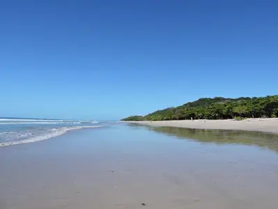 an empty beach with trees in the distance at Villa Primavera Santa Teresa Center- walking distance to the beach in Santa Teresa Beach