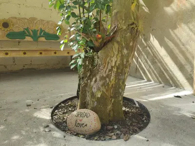 a tree with a rock in front of a plant at Boutique Hotel Casa de Lis, Turrialba in Turrialba