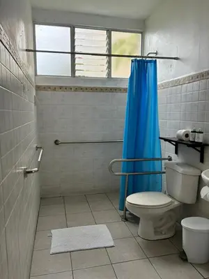a bathroom with a toilet and a blue shower curtain at Boutique Hotel Casa de Lis, Turrialba in Turrialba