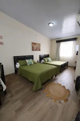 a bedroom with two beds and a rug at Villa Jr 3, Piscina y Naturaleza, SJO Airport 80min in Tarcoles