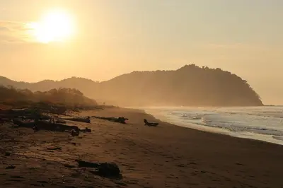 a group of cows on a beach at sunset at Casa Assaya in Nandayure