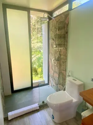 a bathroom with a shower and a toilet and a window at Sinfonía Tropical, ocean view, 5 minutes driving to Playa Linda, 15 to Dominical, wifi Starlink in Savegre