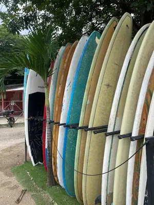 a row of surfboards lined up in a rack at The Backside House - Women Only - in Tamarindo