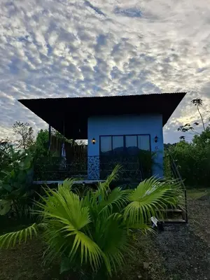 a small house with a black roof and some plants at Arenal Tiny Lodge #1 in San Francisco