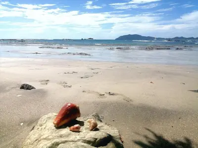 a shell sitting on a sandy beach near the ocean at Guanacaste Azul in Santa Cruz