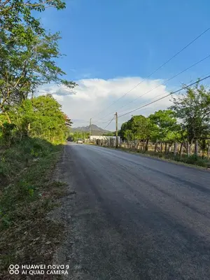 an empty street with trees on the side of the road at Guanacaste Azul in Santa Cruz