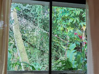 a window with a view of a garden outside at Villas Los Titos in La Fortuna in San Francisco