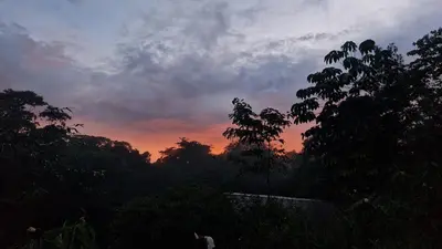 a sunset in the sky with trees in the foreground at Wild Nest Chirripo in Rivas