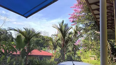 a view of a garden with trees and flowers at Casa veranera in Sarapiquí