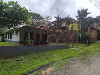 a dog walking in the grass in front of a house at Casa veranera in Sarapiquí