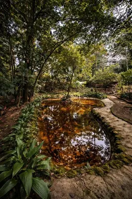 a pond in the middle of a garden at Chato Arenal Lodge in Fortuna
