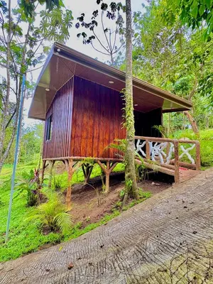 a small house with a wooden roof in a forest at Chato Arenal Lodge in Fortuna