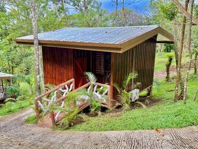 a small shack in the middle of a forest at Chato Arenal Lodge in Fortuna