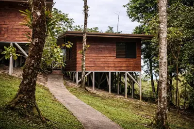 a house in the woods with a path leading to it at Chato Arenal Lodge in Fortuna