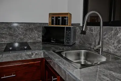 a kitchen counter with a sink and a microwave at Fortuna Tropical Loft in Fortuna