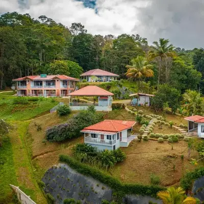 Colinas Tinamastes