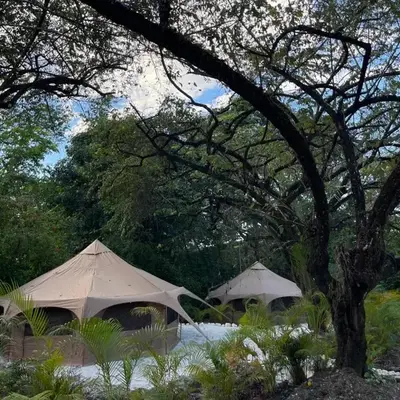 SurFreak Backyard Glamping CoWorking Experience