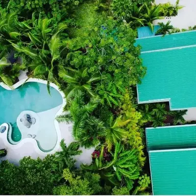 Nosara Verde