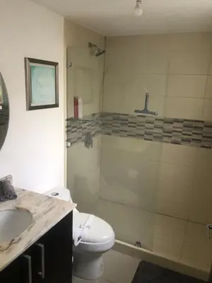 a bathroom with a shower and a toilet and a sink at Brisa del Río Santa Ana in Río Oro