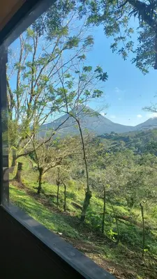 a view from a train window of a field with trees at Arenal volcano apartment with panoramic view in El Castillo de La Fortuna