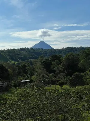 a mountain in the middle of a forest with trees at Cabaña 3 venado in Venado