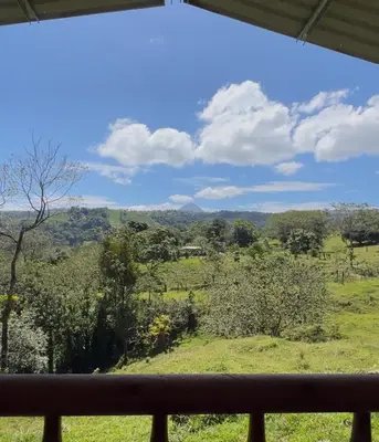 a view of a field from a window at Cabaña 3 venado in Venado