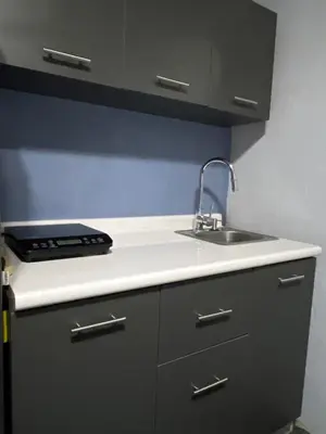 a kitchen with a sink and a counter top at Paraiso Valle Azul in Puntarenas