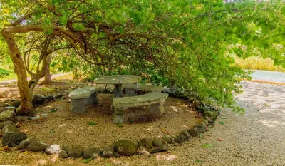a picnic table and bench under a tree at CASA NiCO in Río Sequito