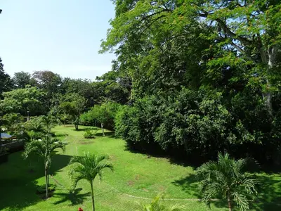 a park with trees and grass and palm trees at Jaco Beach Condos in Jacó