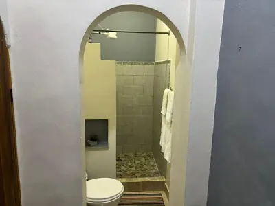 a bathroom with a toilet and a walk in shower at Casa veranera in Quepos