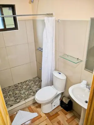 a bathroom with a toilet and a shower and a sink at Monteverde Villa Lodge in Monteverde Costa Rica