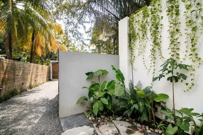a white wall with plants next to a fence at Rincon Escondido in Nosara
