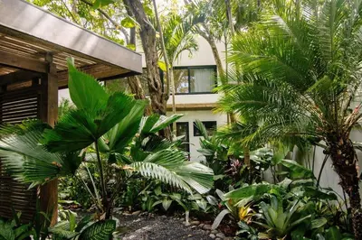 a garden with trees and plants in front of a building at Rincon Escondido in Nosara