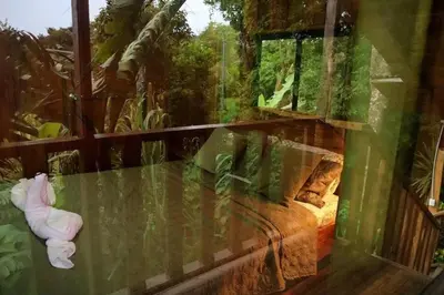 a glass room with a bed in a forest at VA Logde in Monteverde Costa Rica