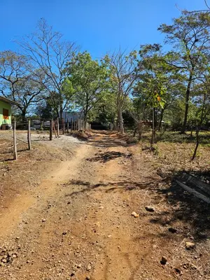 a dirt road in the middle of a field at Casa del Sol Playa Avellanas in San José Pinilla